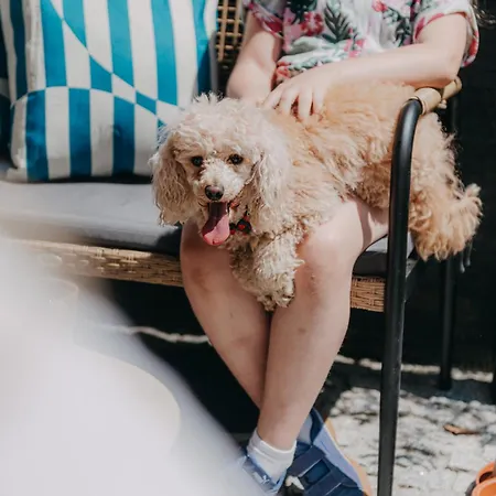 Pod Kasprowym Numer 2-air Conditioning Zakopane