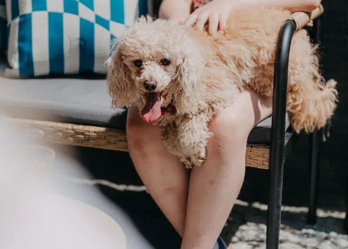 Pod Kasprowym Numer 2-air Conditioning 자코파네